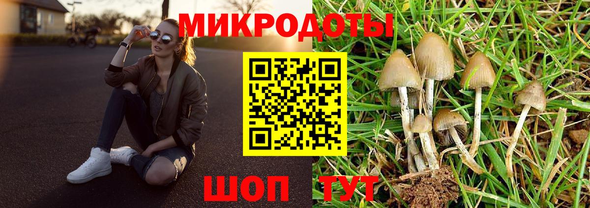 Галлюциногенные грибы Psilocybine cubensis Сертолово