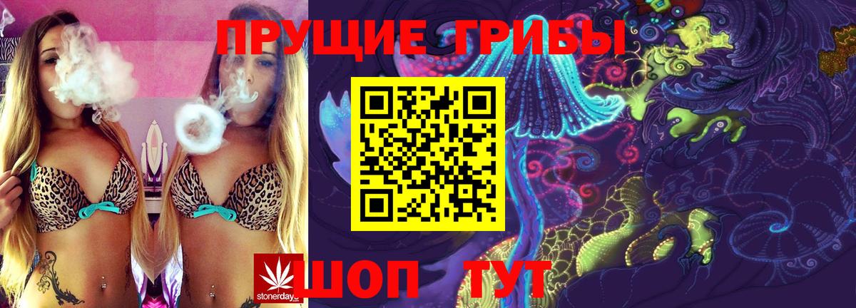 Сертолово  Галлюциногенные грибы Psilocybine cubensis  Вход с VPN 